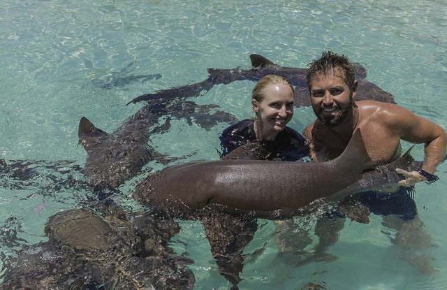 美國荒野求生專家結婚 鱷魚鯊魚等動物出席婚禮