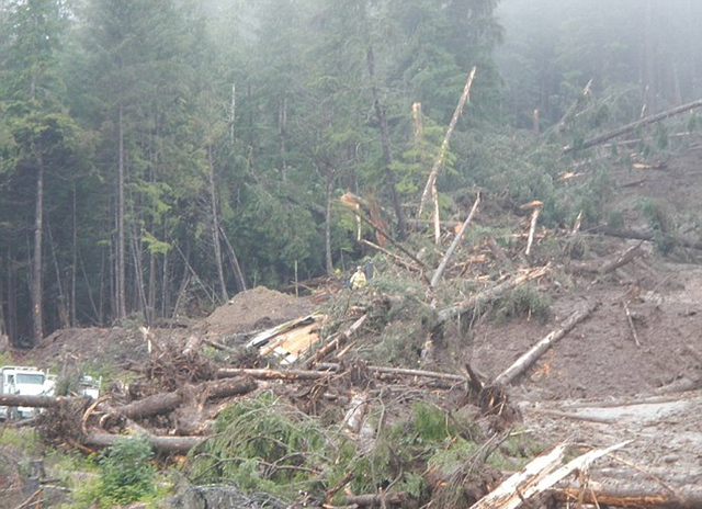 美阿拉斯加濱海小鎮強降雨導致山體滑坡 4人失蹤