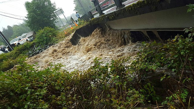 美阿拉斯加濱海小鎮強降雨導致山體滑坡 4人失蹤