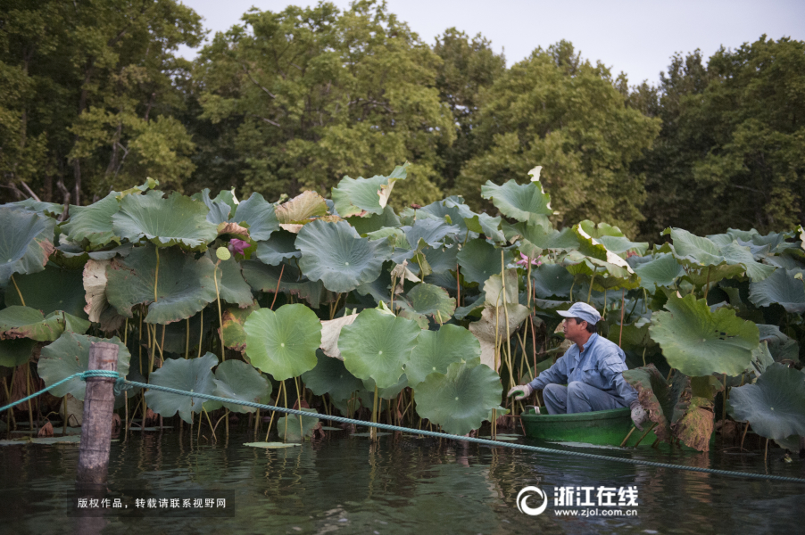 你見過淩晨4點的西湖嗎？