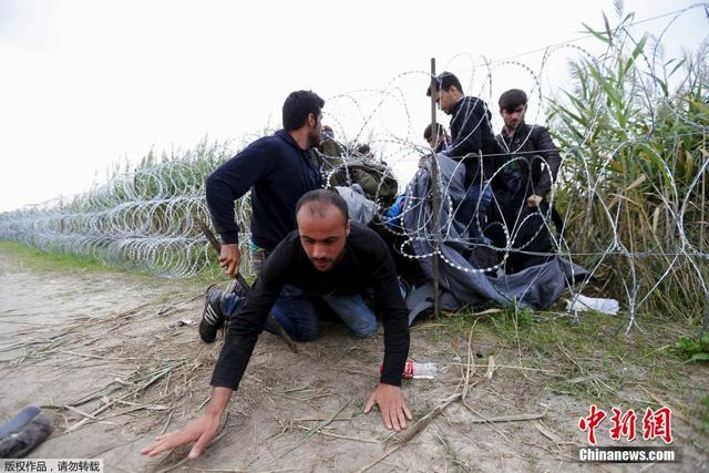 敘利亞非法移民鑽鐵網越境 警察駐足遠觀