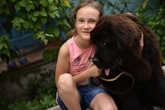 12歲女孩獲普京贈犬 這些年普京都送出過哪些狗狗