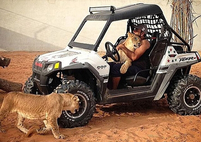 墨西哥毒販網上曬照鬥富 豪車美女猛獸相伴