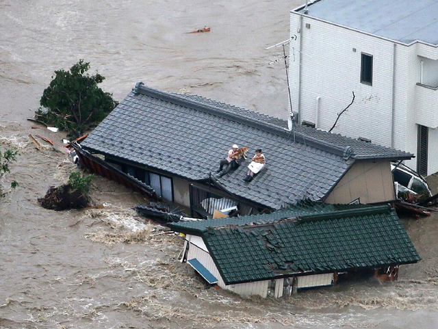 日本暴雨致上萬房屋被淹 居民抱狗爬屋頂等救援