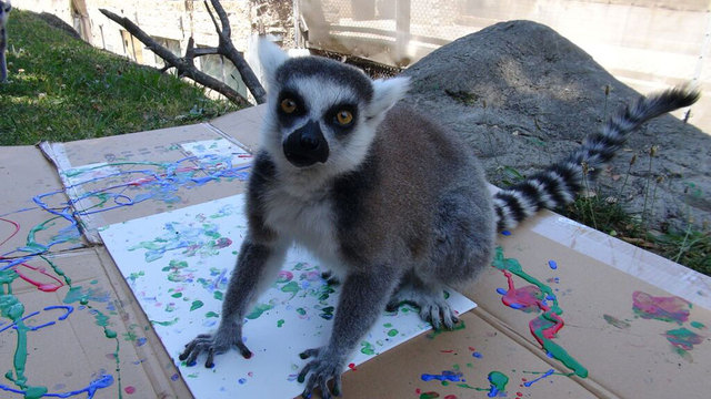 美奧克蘭動物園拍賣動物畫作 “畫家”包括大象和蟑螂