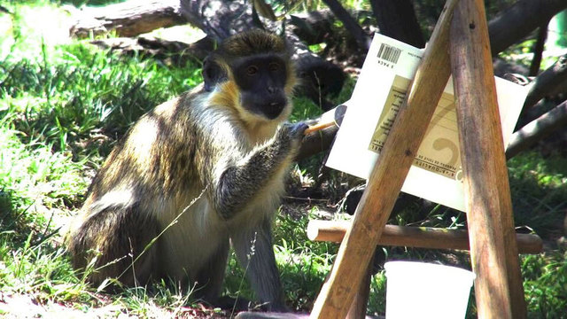 美奧克蘭動物園拍賣動物畫作 “畫家”包括大象和蟑螂