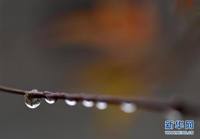 江蘇淮安：一場秋雨一場寒