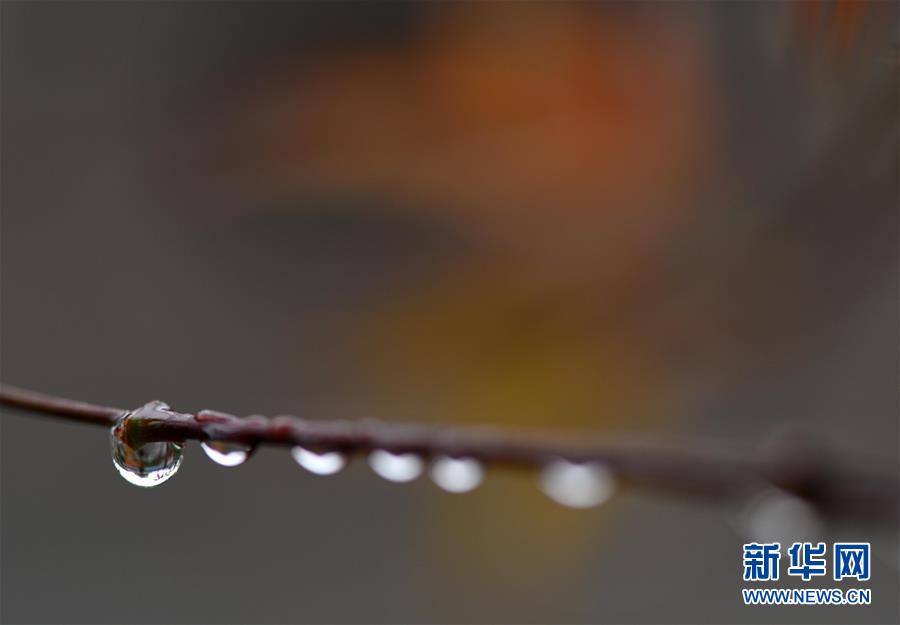 江蘇淮安：一場秋雨一場寒