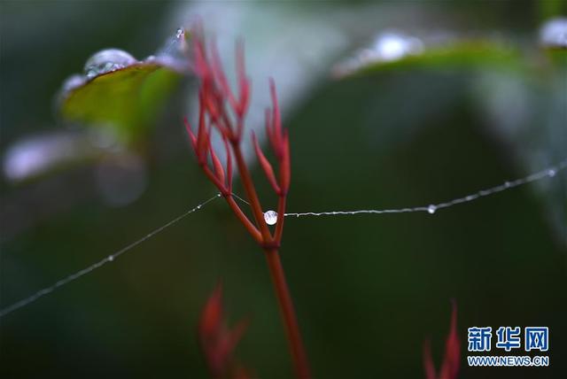 江蘇淮安：一場秋雨一場寒