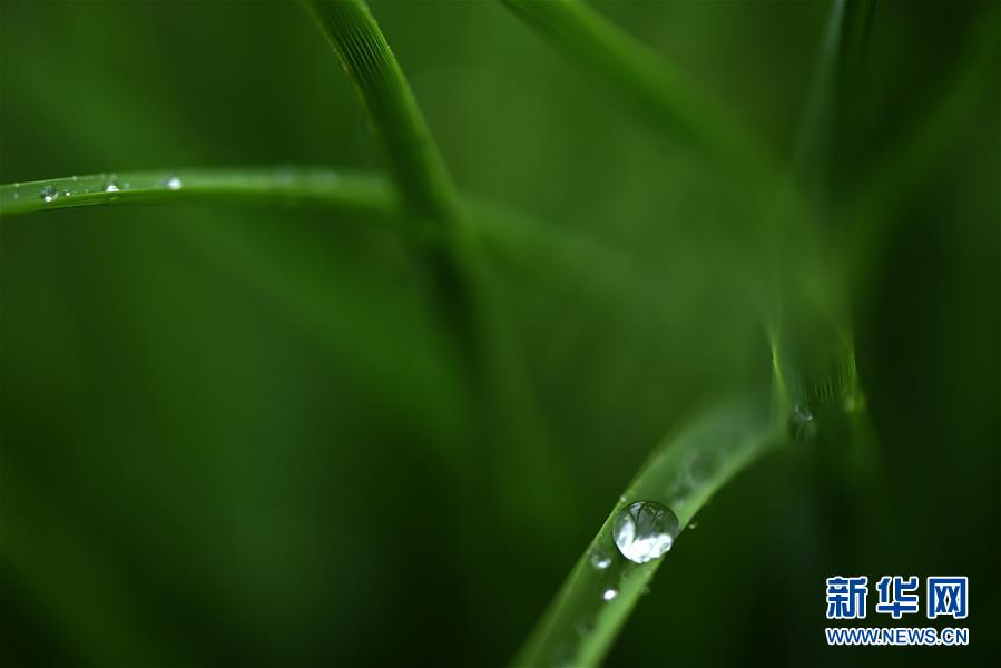 江蘇淮安：一場秋雨一場寒