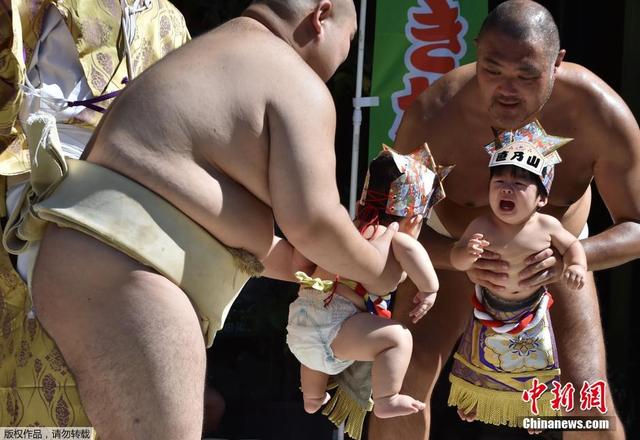 東京舉辦“寶寶哭”相撲比賽 萌娃哭相惹人愛