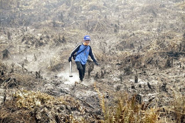 東南亞國家陷入霧霾危機