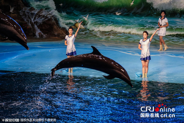 朝鮮神秘海豚館曝光 “美人魚”與海豚共舞