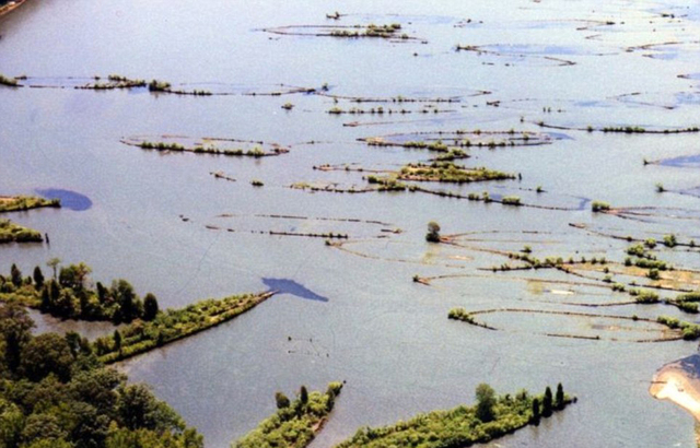 探秘美國軍艦墓地 200艘廢船和殘骸如"幽靈艦隊"