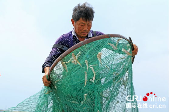 “太湖國學音樂小鎮”讓文化與旅遊完美融合