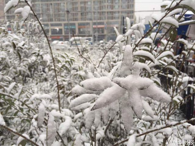 北京發佈暴雪藍色預警信號 連續降雪4天