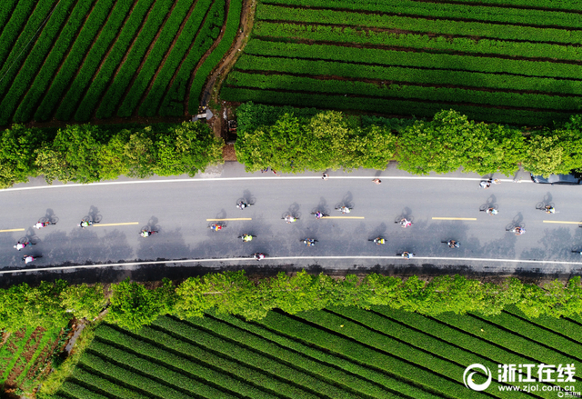 松陽：自行車山地越野開賽