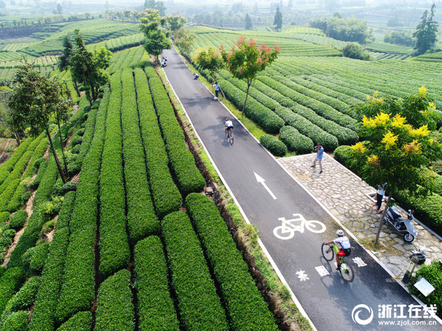 松陽：自行車山地越野開賽