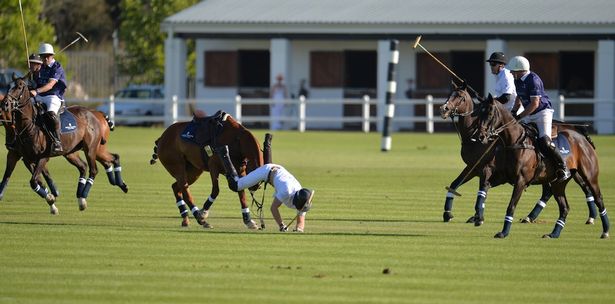 哈裏王子參加慈善馬球賽從馬上摔下