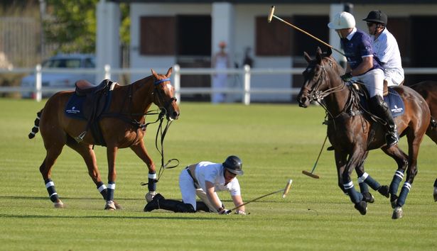 哈裏王子參加慈善馬球賽從馬上摔下