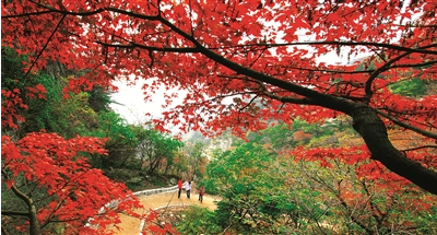 9月 嵩縣所有A級景區免門票