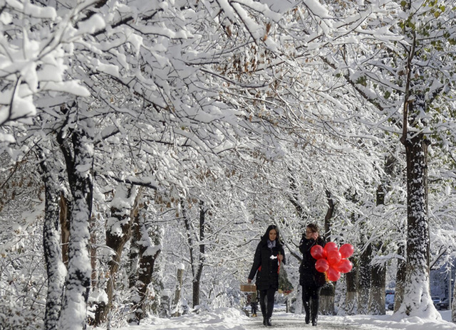 盤點路透社instagram賬號2015年度最受歡迎照片