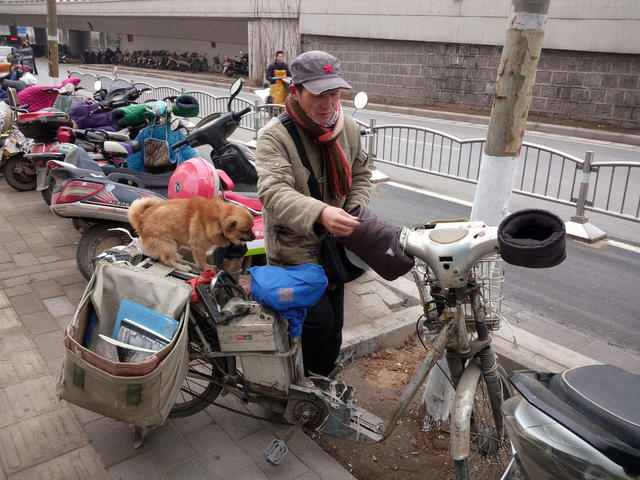 鄭州一男子隨身帶愛犬送快遞 小狗幫忙看車