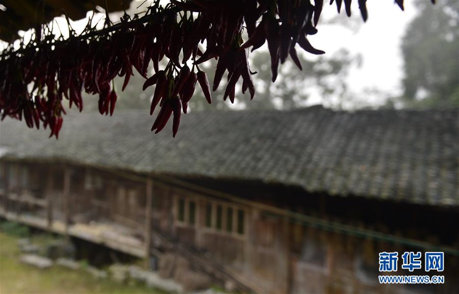 探秘湖北利川土家“建築博物館”——藏身山水間的吊腳樓