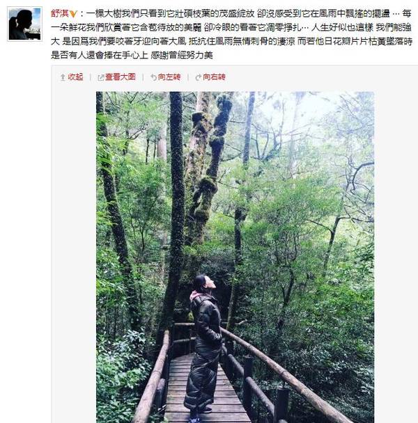 “哲理淇”已上線！舒淇發長文感慨人生坎坷