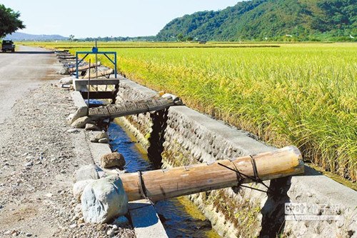 圖片默認標題