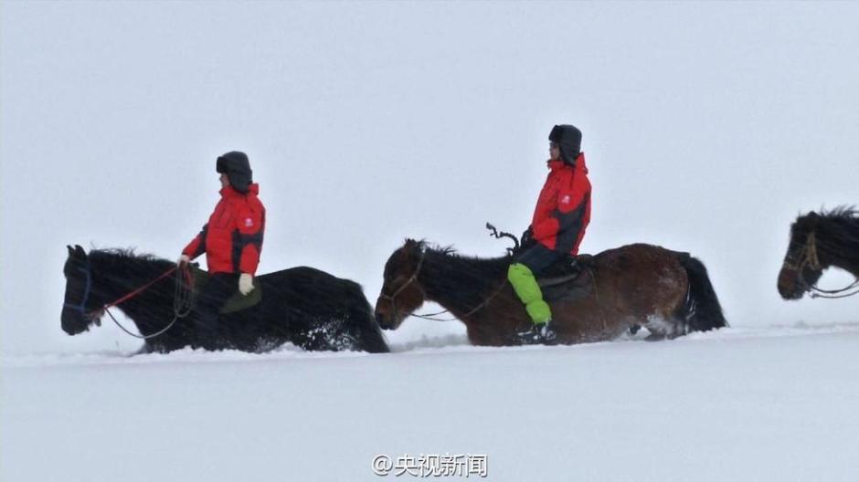 新疆阿勒泰連續降雪14天 馬兒成了“潛雪艇”(組圖)