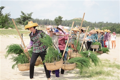 還未審核【瓊島先鋒圖文列表】【即時快訊】陶鳳交和她的“綠色娘子軍”