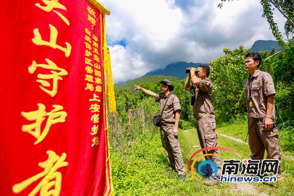 還未審核【瓊島先鋒圖文列表】【即時快訊】五指山的“大山守護者”