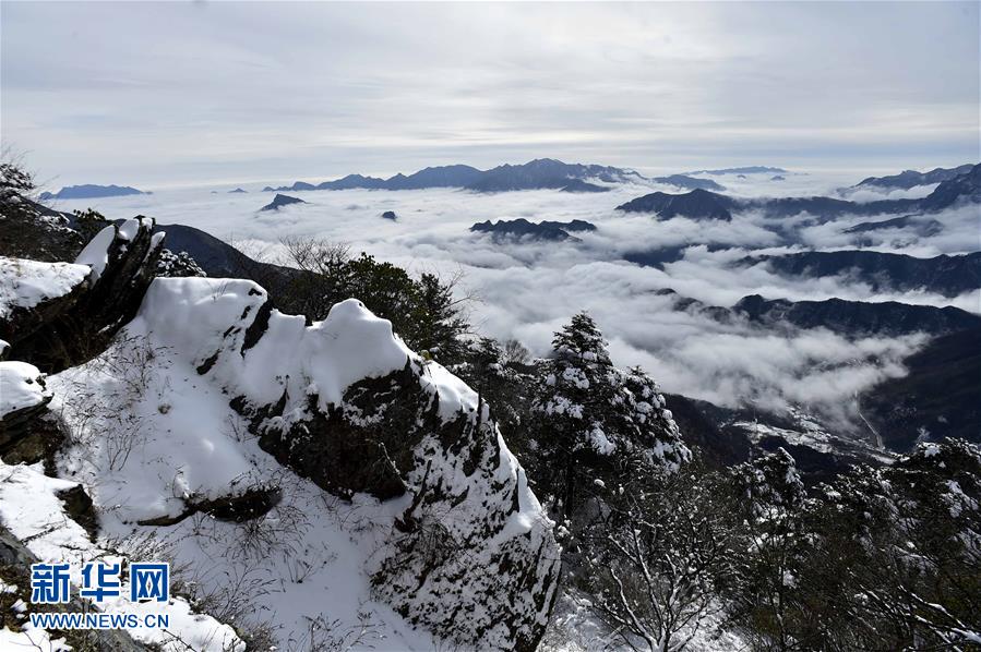 神農架多地現雲海奇觀(高清組圖)