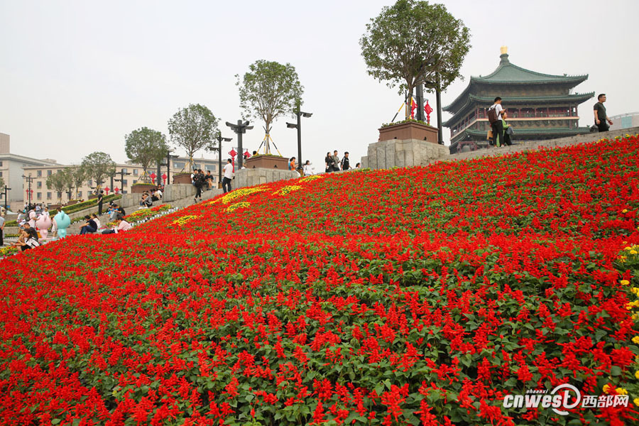 【焦點圖 顯示圖在稿件最下方】迎國慶 西安鐘鼓樓廣場鮮花國旗成靚麗風景