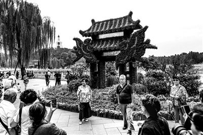 北京北海花壇添雨燕 獨特京味祝吉祥