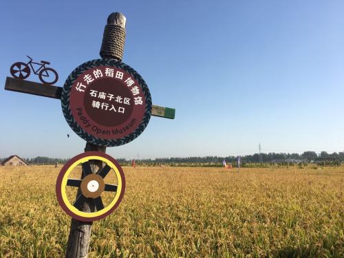 盤錦大洼：發展鄉村旅遊 打造稻耕樂園