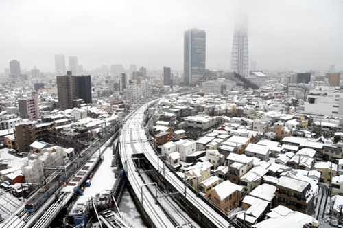 日本關東地區強降雪致204人傷 惡劣天氣或持續