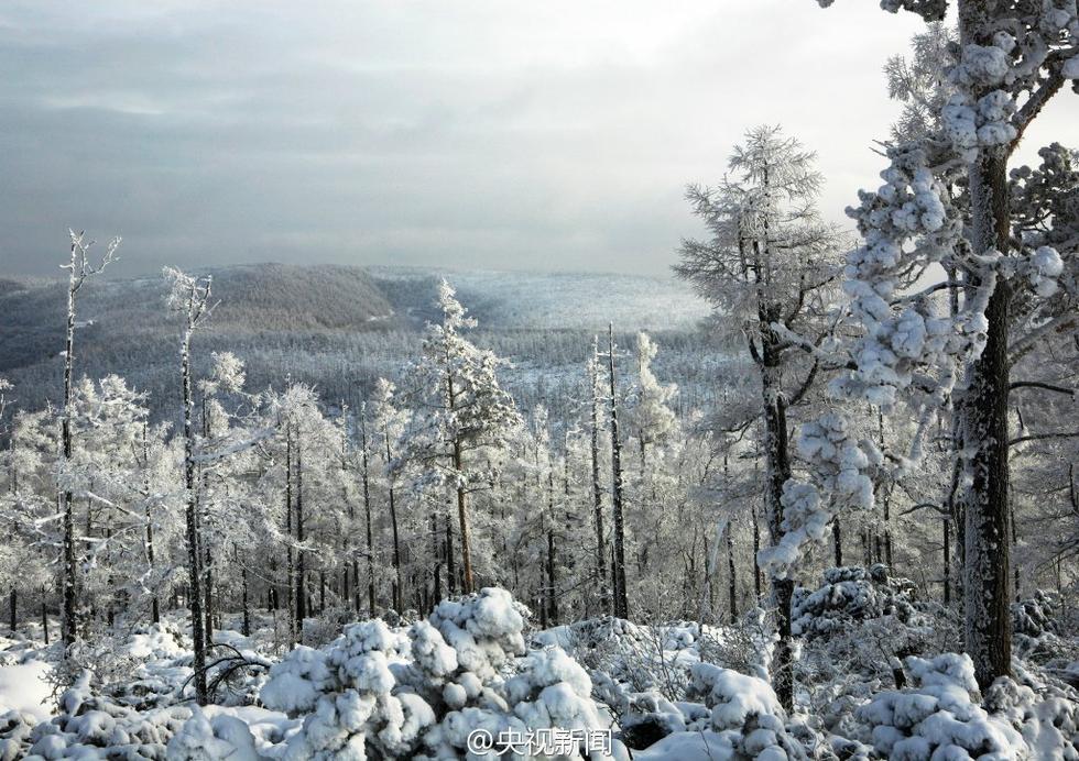 極寒、極景：零下40℃的大興安嶺林海雪原