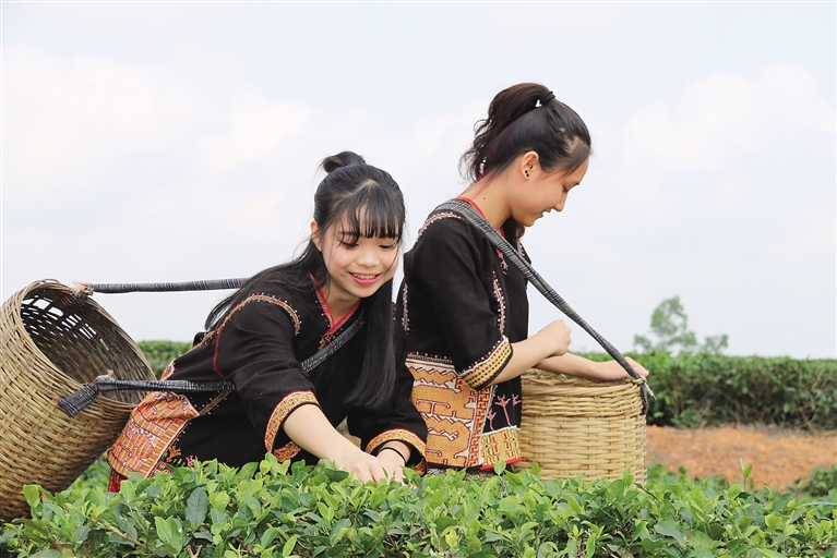 還未審核【焦點圖】【即時快訊】"迎中秋 慶國慶" 白沙五大主題活動等你來Happy