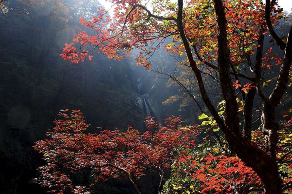 奇境欒川多彩季系列活動10月1日啟動