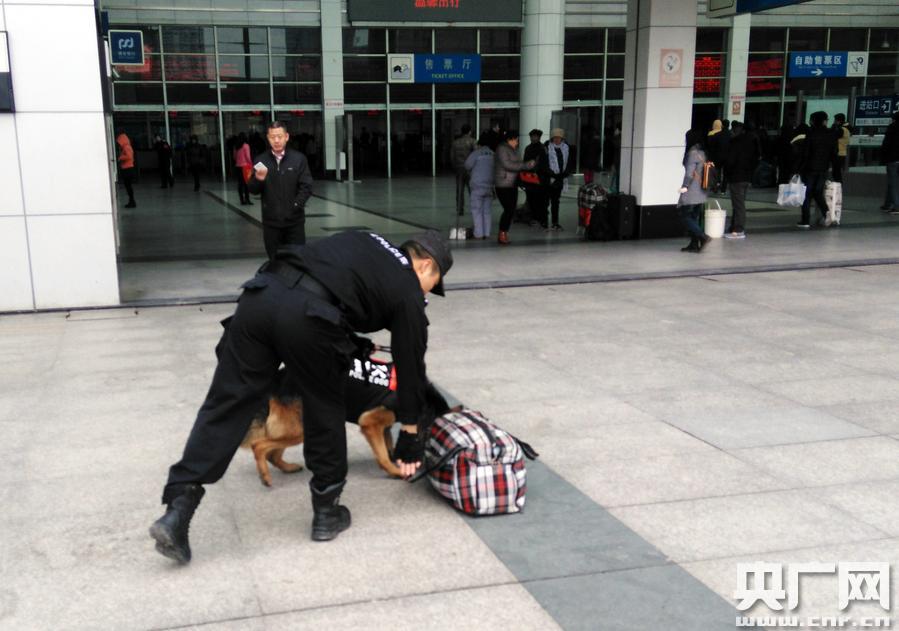 [網絡媒體走轉改]警犬靠氣味“追蹤”丟包失主