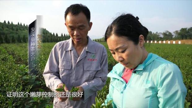 十九大代表廖紅：和土壤“對話”的女科學家