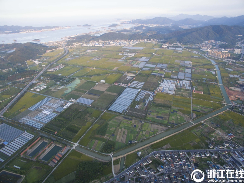 舟山定海打造“美麗田園風情小鎮”