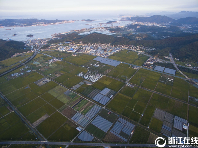 舟山定海打造“美麗田園風情小鎮”