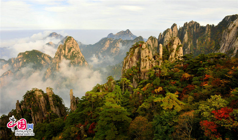 黃山：秋色連波漸濃漸烈 如臨童話之境(圖)