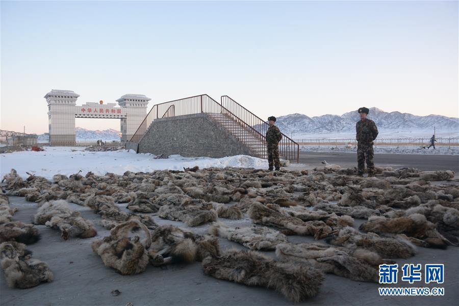 新疆塔克什肯邊檢站查獲大批走私野生動物製品