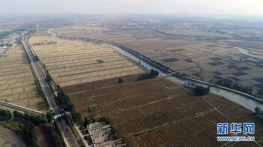 寧夏引黃古灌區被列入世界灌溉工程遺産名錄