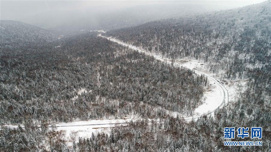 牡丹江市雪染層林