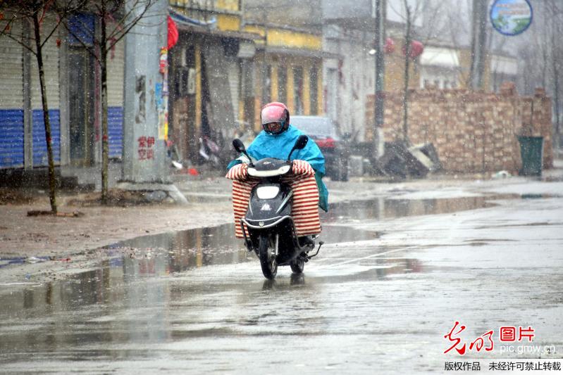 瑞雪兆豐年 全國各地普遍降雪